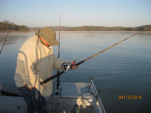 Nice Striped Bass